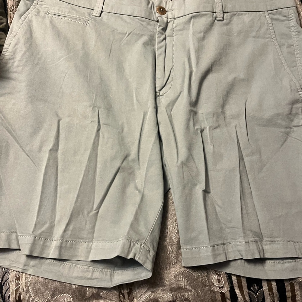 Light Gray Flat Front Shorts